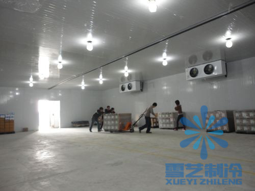 2000平方冷庫需要多少錢？冷庫設(shè)計(jì)安裝建造