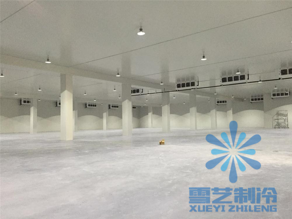 萬噸冷庫設(shè)計(jì)安裝，冷庫建造，冷庫造價(jià)多少錢