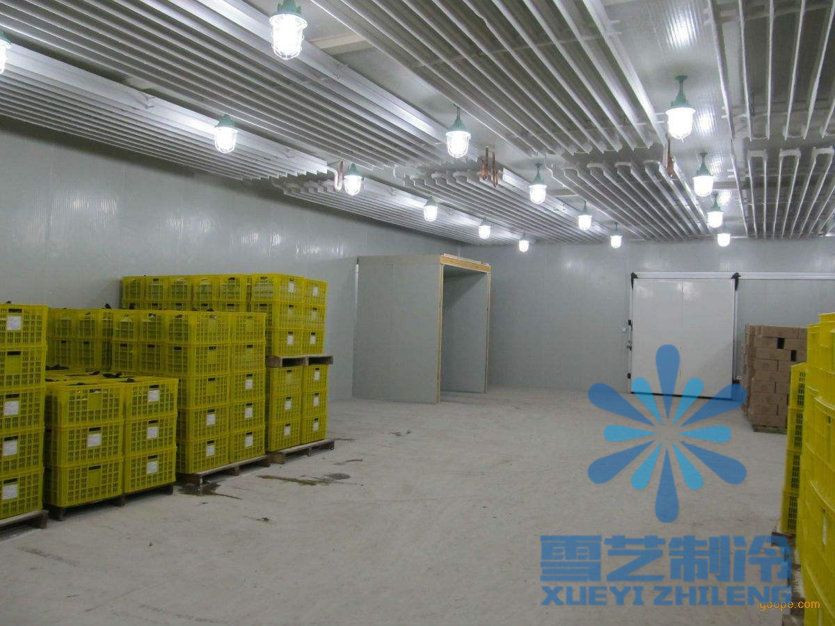 蒜薹(tái)冷庫設(shè)計安裝,冷庫價格多少錢