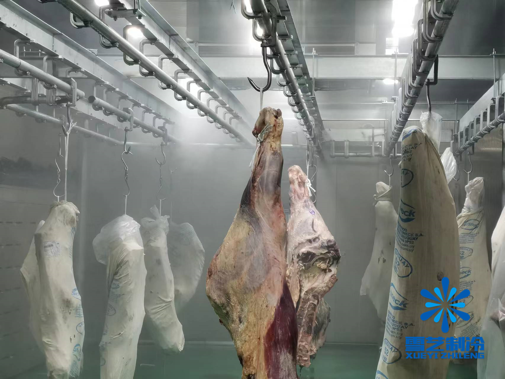 緩化庫，肉類解凍冷庫114.jpg
