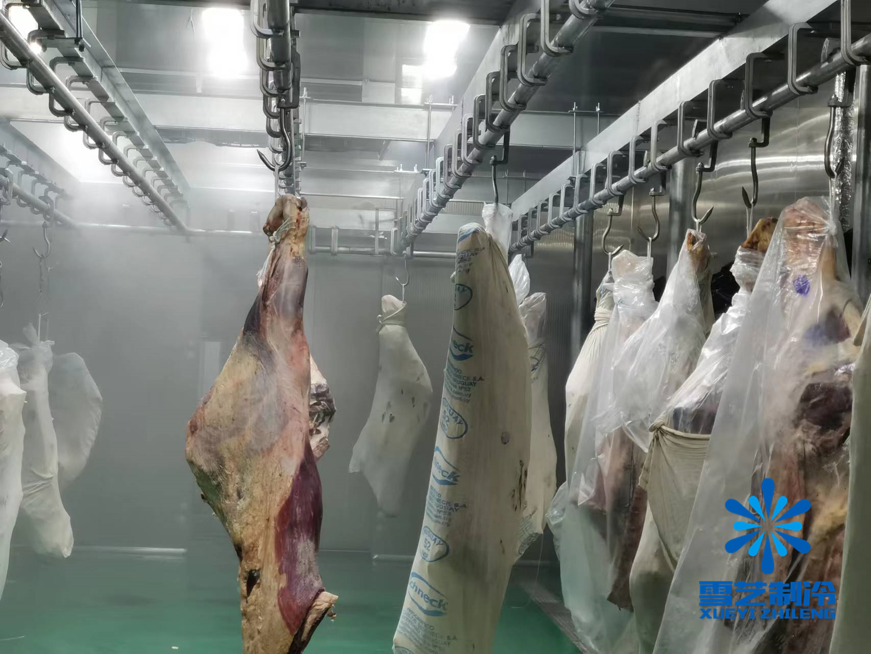 肉類冷凍庫，解凍庫