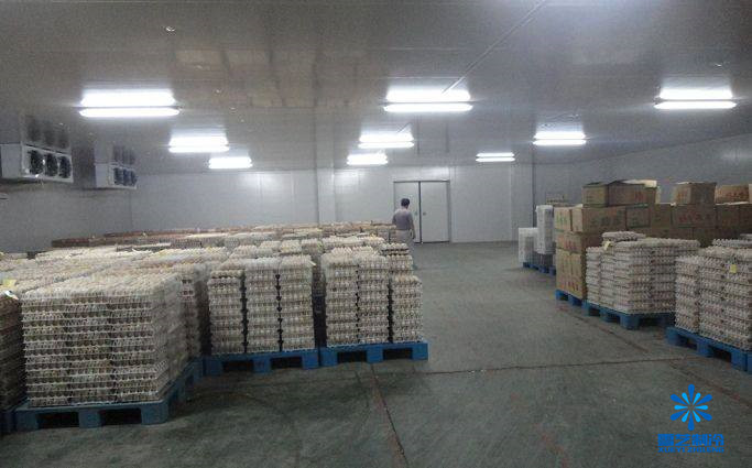 建設(shè)1000噸冷庫(kù)含設(shè)計(jì)安裝造價(jià)