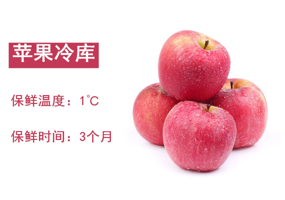 蘋果冷庫(kù)